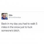 84921803.jpg
