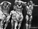 1981-Olympia-Abs-with-Franco-Platz-and-Padilla(edcoan.ir).jpg