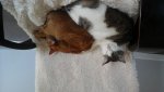 20180822_124943.jpg