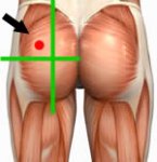 glute.jpg
