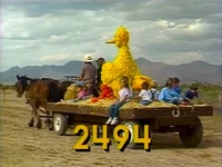 2494 (1).webp