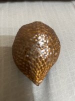 IMG_1420-compressed.jpeg