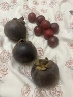 IMG_1486-compressed.jpeg