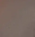 1000159568.webp
