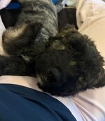 IMG_6704.jpeg