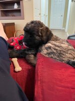 IMG_5643.jpeg