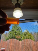 20260515_114949.jpg