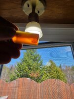20260515_114955.jpg