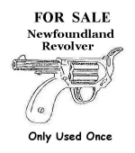 newfie-revolver-v0-bccZbNxji2ENJrhxnxN-TtzlpvZ-5RTLJiCIwe0Mi-Y.webp