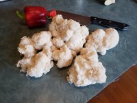 Lions mane2.jpg Lions mane2.jpg