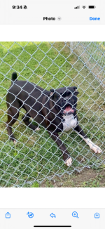 IMG_0752.png