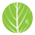 pacepharmacy.com